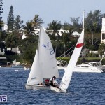 Frostbite Series Sailing Sailboat  Hamilton Harbour Bermuda, January 6 2013 (12)