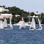Frostbite Series Sailing Sailboat  Hamilton Harbour Bermuda, January 6 2013 (14)