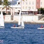 Frostbite Series Sailing Sailboat  Hamilton Harbour Bermuda, January 6 2013 (17)