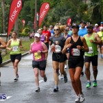 HSBC  Bermuda Marathon Weekend half-marathon and marathon, January 20 2013 (106)