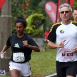 HSBC  Bermuda Marathon Weekend half-marathon and marathon, January 20 2013 (39)