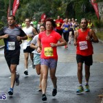 HSBC  Bermuda Marathon Weekend half-marathon and marathon, January 20 2013 (61)