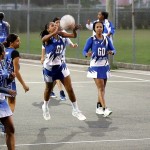 Womens Netball Bermuda, January 5 2012 (5)