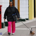 Argus Walk the Walk 5K, Bermuda February 24 2013 (11)