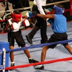 Fight Night 15 The Rematch Berkeley Institute Bermuda, February 2 2013 (10)