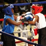 Fight Night 15 The Rematch Berkeley Institute Bermuda, February 2 2013 (20)