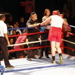 Fight Night 15 The Rematch Berkeley Institute Bermuda, February 2 2013 (33)