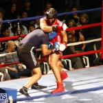 Fight Night 15 The Rematch Berkeley Institute Bermuda, February 2 2013 (43)
