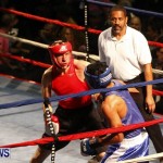 Fight Night 15 The Rematch Berkeley Institute Bermuda, February 2 2013 (47)