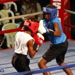 Fight Night 15 The Rematch Berkeley Institute Bermuda, February 2 2013 (5)