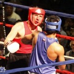 Fight Night 15 The Rematch Berkeley Institute Bermuda, February 2 2013 (55)