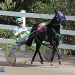 Harness Pony Racing Champions, Bermuda February 10 2013 (1)