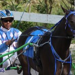 Harness Pony Racing Champions, Bermuda February 10 2013 (10)