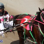 Harness Pony Racing Champions, Bermuda February 10 2013 (11)