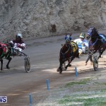 Harness Pony Racing Champions, Bermuda February 10 2013 (13)