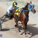 Harness Pony Racing Champions, Bermuda February 10 2013 (19)