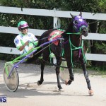 Harness Pony Racing Champions, Bermuda February 10 2013 (2)