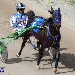 Harness Pony Racing Champions, Bermuda February 10 2013 (20)