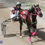 Harness Pony Racing Champions, Bermuda February 10 2013 (21)