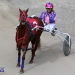 Harness Pony Racing Champions, Bermuda February 10 2013 (22)