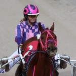 Harness Pony Racing Champions, Bermuda February 10 2013 (23)