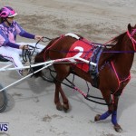 Harness Pony Racing Champions, Bermuda February 10 2013 (24)