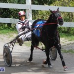 Harness Pony Racing Champions, Bermuda February 10 2013 (3)