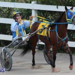 Harness Pony Racing Champions, Bermuda February 10 2013 (7)