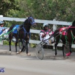 Harness Pony Racing Champions, Bermuda February 10 2013 (8)