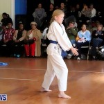 Sensei Roots Shiai 18, Karate Bermuda February 10 2013 (10)