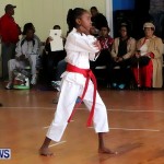 Sensei Roots Shiai 18, Karate Bermuda February 10 2013 (15)