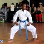 Sensei Roots Shiai 18, Karate Bermuda February 10 2013 (17)
