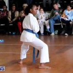 Sensei Roots Shiai 18, Karate Bermuda February 10 2013 (18)
