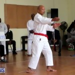 Sensei Roots Shiai 18, Karate Bermuda February 10 2013 (29)