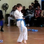 Sensei Roots Shiai 18, Karate Bermuda February 10 2013 (3)