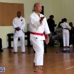 Sensei Roots Shiai 18, Karate Bermuda February 10 2013 (30)