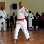 Sensei Roots Shiai 18, Karate Bermuda February 10 2013 (32)