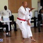 Sensei Roots Shiai 18, Karate Bermuda February 10 2013 (35)