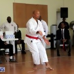 Sensei Roots Shiai 18, Karate Bermuda February 10 2013 (36)