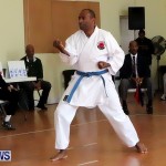 Sensei Roots Shiai 18, Karate Bermuda February 10 2013 (39)