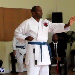 Sensei Roots Shiai 18, Karate Bermuda February 10 2013 (41)