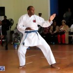 Sensei Roots Shiai 18, Karate Bermuda February 10 2013 (43)