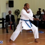 Sensei Roots Shiai 18, Karate Bermuda February 10 2013 (44)