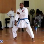 Sensei Roots Shiai 18, Karate Bermuda February 10 2013 (45)