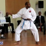 Sensei Roots Shiai 18, Karate Bermuda February 10 2013 (47)
