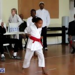 Sensei Roots Shiai 18, Karate Bermuda February 10 2013 (5)