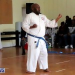 Sensei Roots Shiai 18, Karate Bermuda February 10 2013 (54)