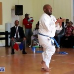 Sensei Roots Shiai 18, Karate Bermuda February 10 2013 (56)