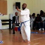 Sensei Roots Shiai 18, Karate Bermuda February 10 2013 (57)