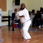 Sensei Roots Shiai 18, Karate Bermuda February 10 2013 (58)